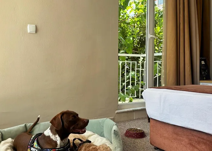 Moy Beldibi 3* Antalya