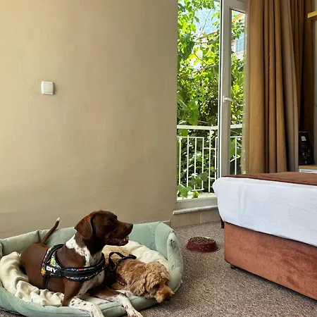 Moy Beldibi 3* Antalya