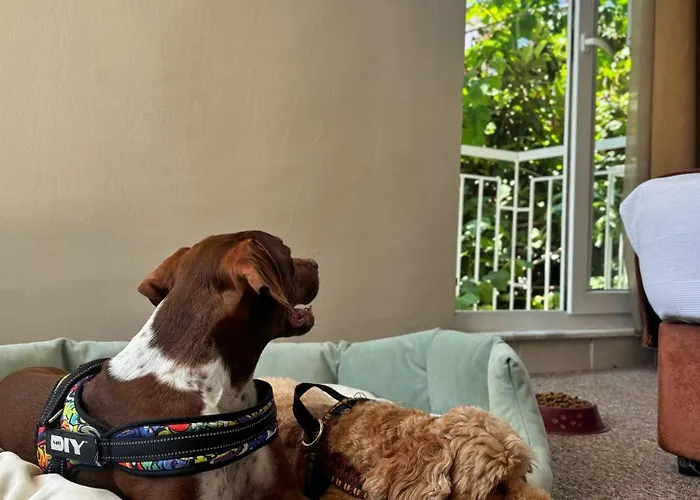 Moy Beldibi Hotel Antalya