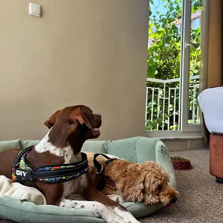 Moy Beldibi Hotel Antalya